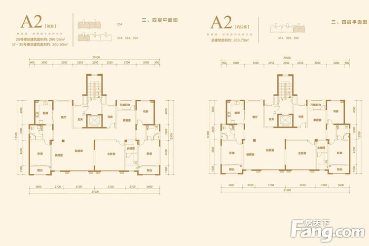 金屋秦皇半島仁晟裝飾戶型圖